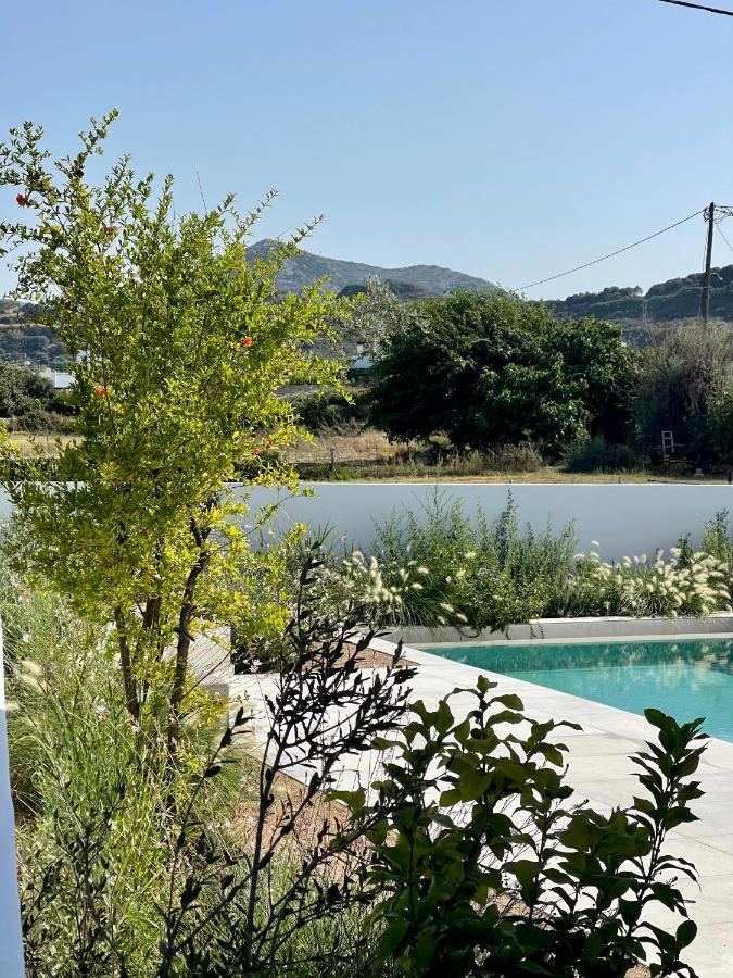 Casa Di Amerissa Premium Accommodation Skyros Exteriör bild